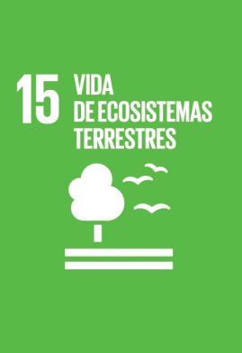 vida de ecosistemas terrestres