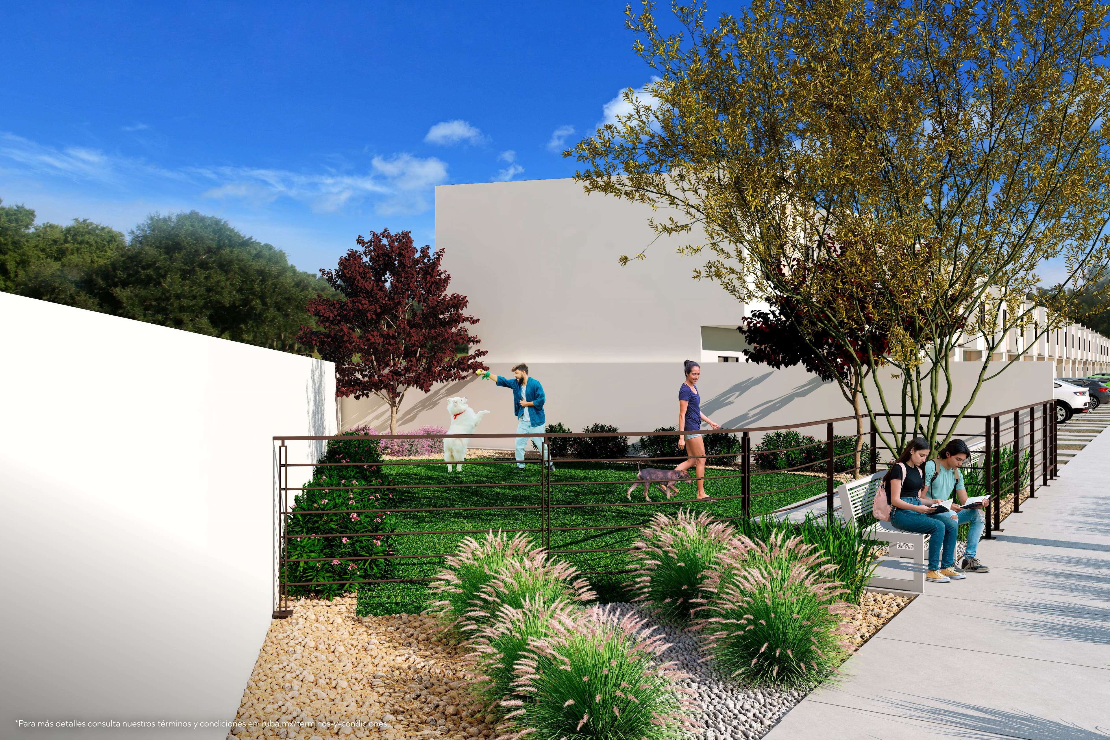13 E2 DOG PARK CE-01.jpg