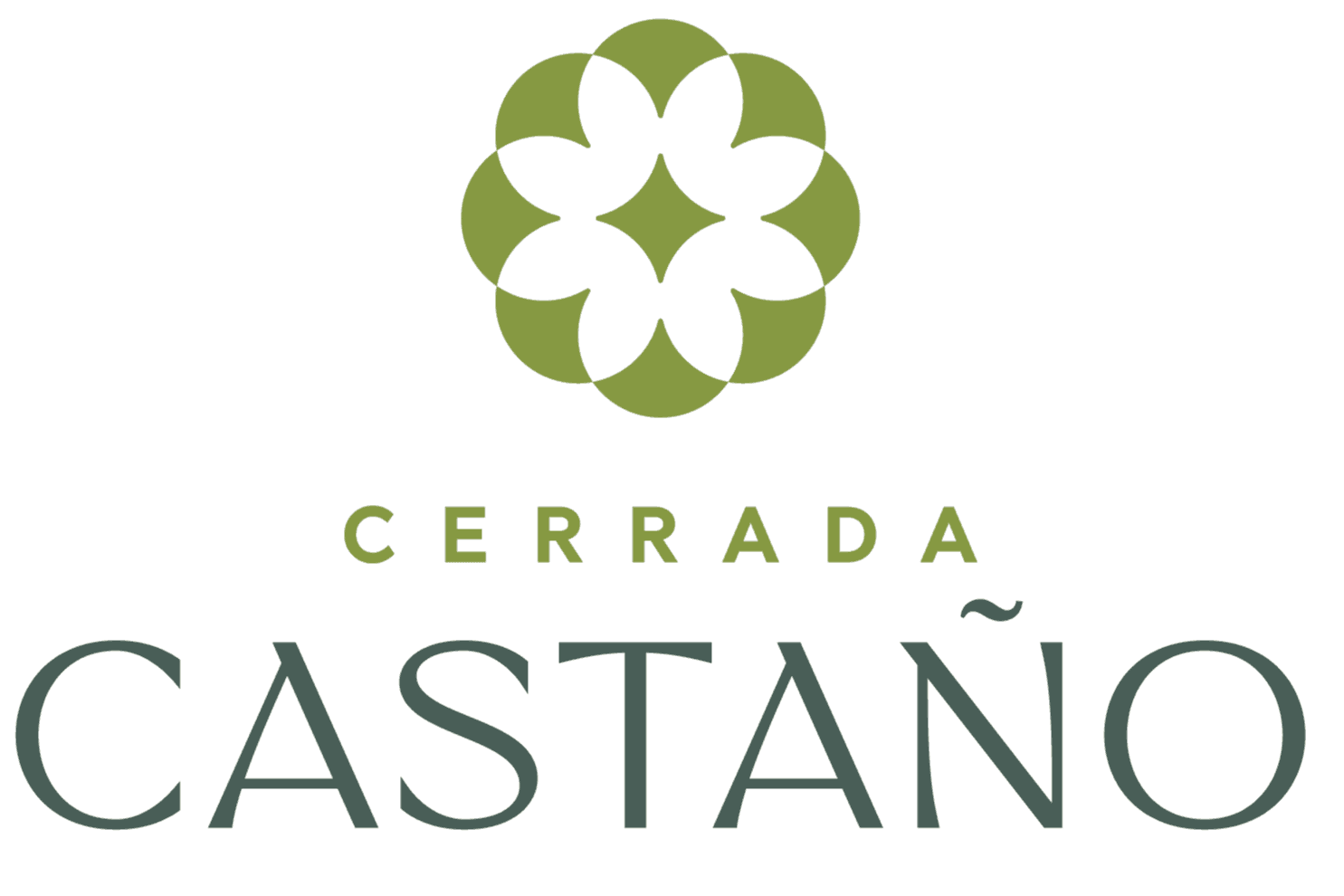 Logo CastañoV2_Mesa de trabajo 1.png