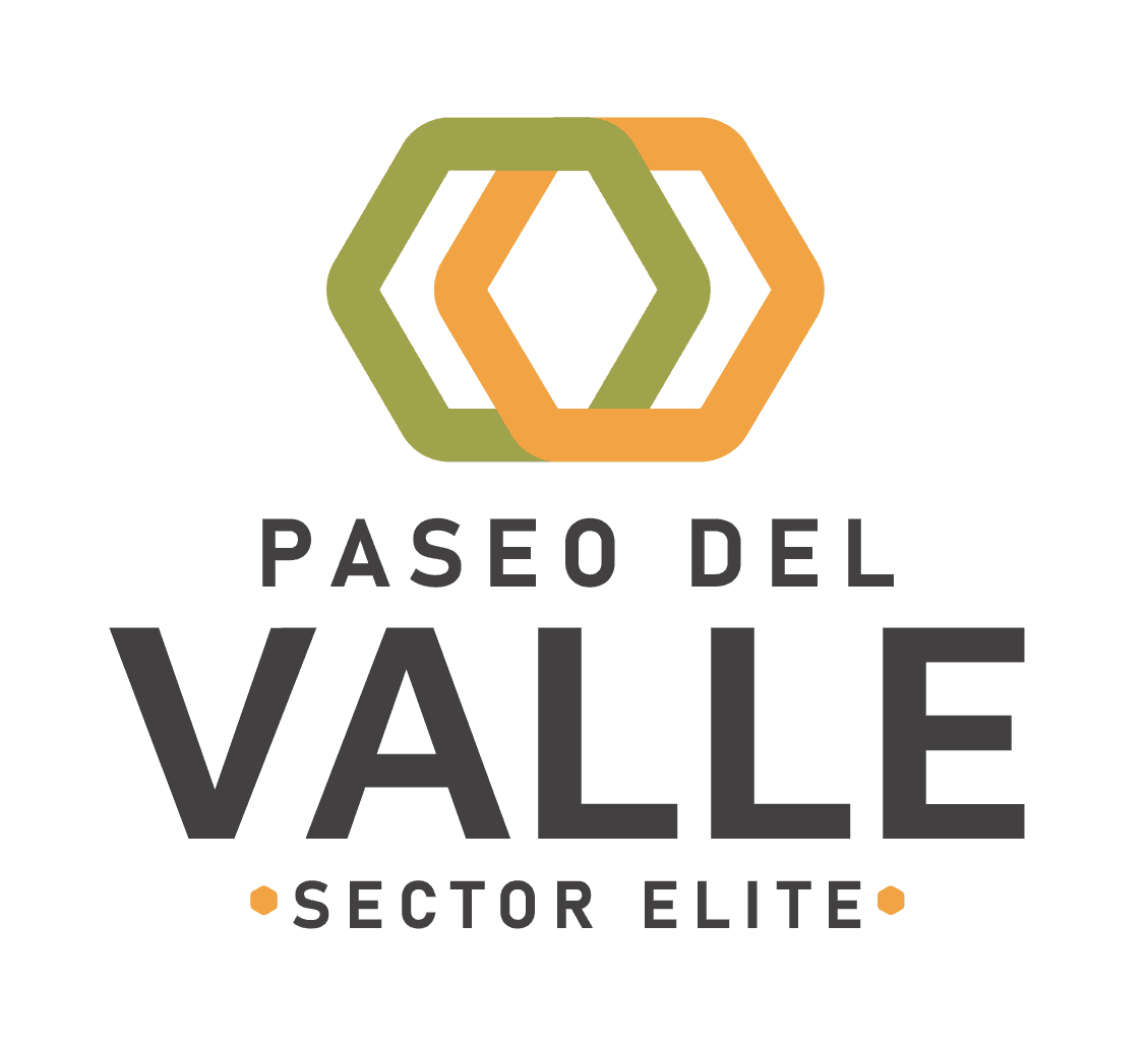 MTY PaseoDelValleSectorElite diamond-04.png