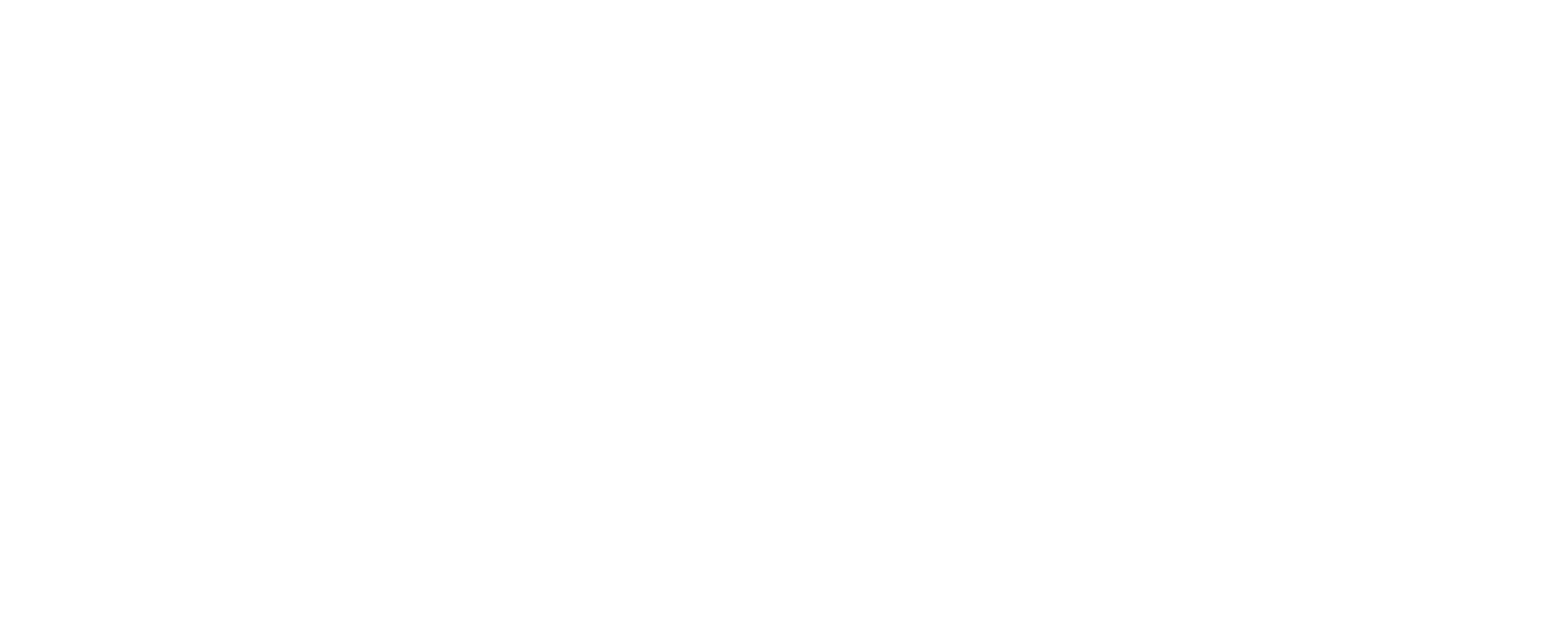 logo-tossa.png